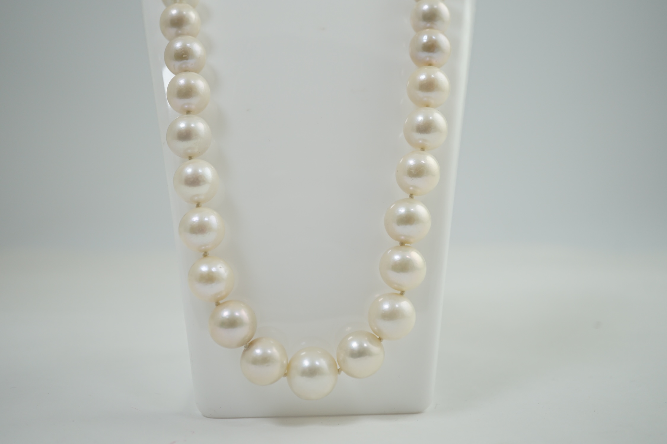 A single strand graduated South Sea pearl necklace, with platinum clasp